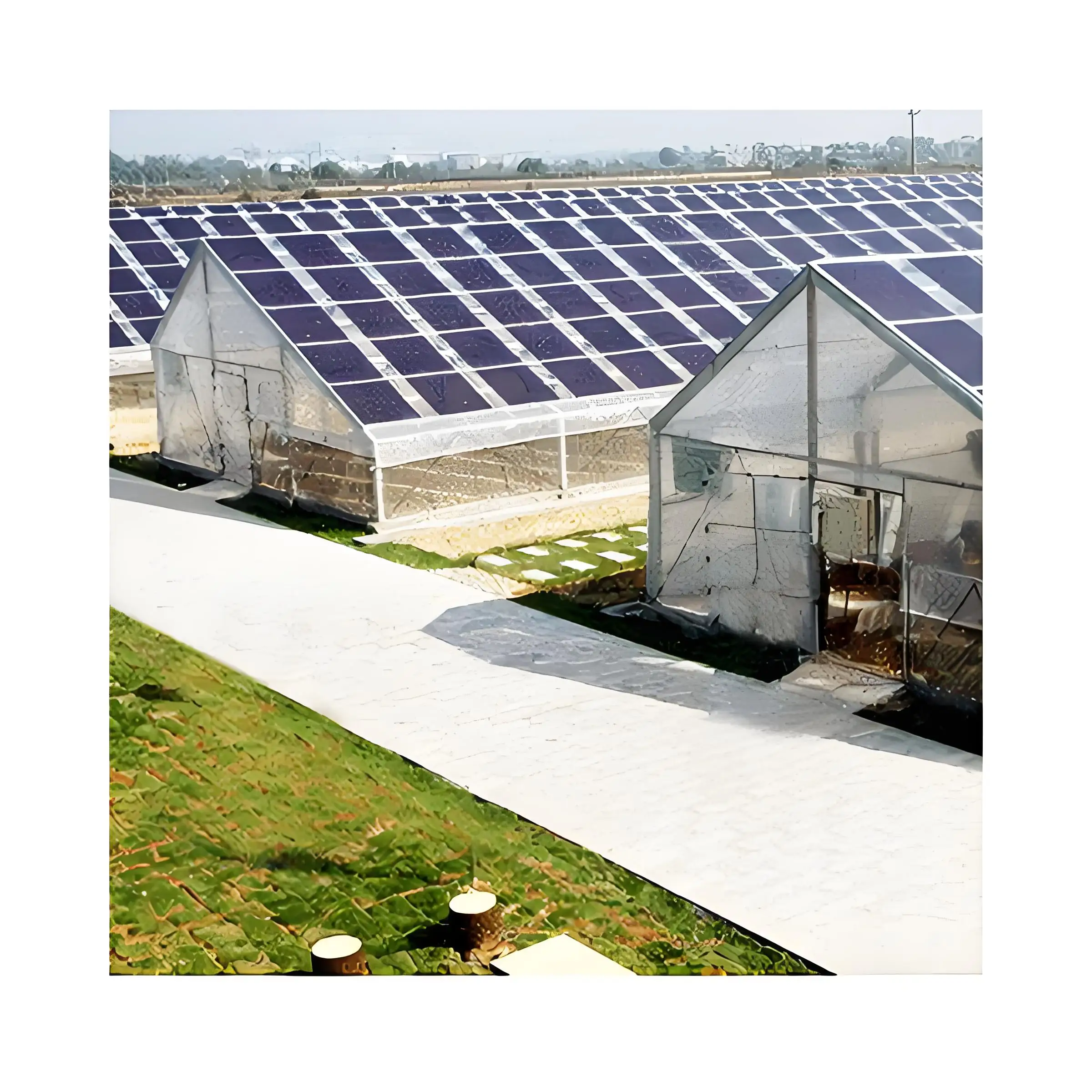 Smart Agricultural Multi-Span Venlo Glass Greenhouse Solar Photovoltaic Solar Greenhouse for Sale