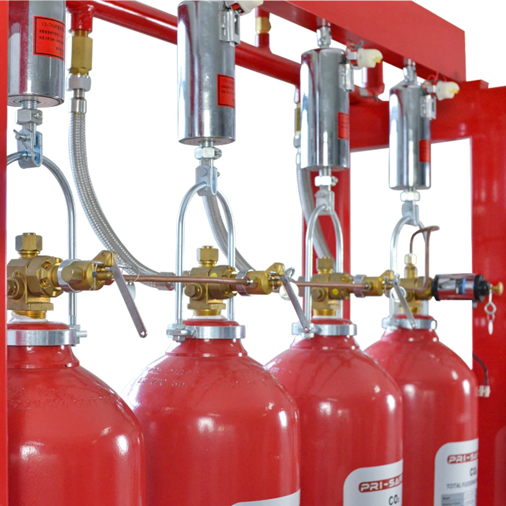 Factory Price Pipe Network Co2 Total Flooding Fire System with Weighing ...