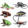colorful PL127-2712 Longhorn beetle 12g