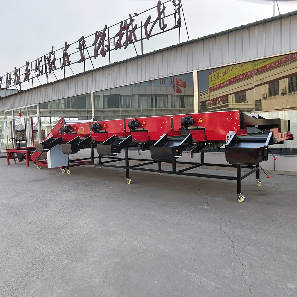 product-1-1 product-1-1