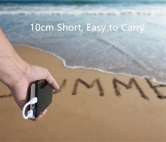 Cheapest Type C  USB C Cable 10cm Short Only Fast Charging for Power Bank Phone Cord USB Adapter Wire