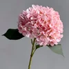 15# Nuevo Rosa