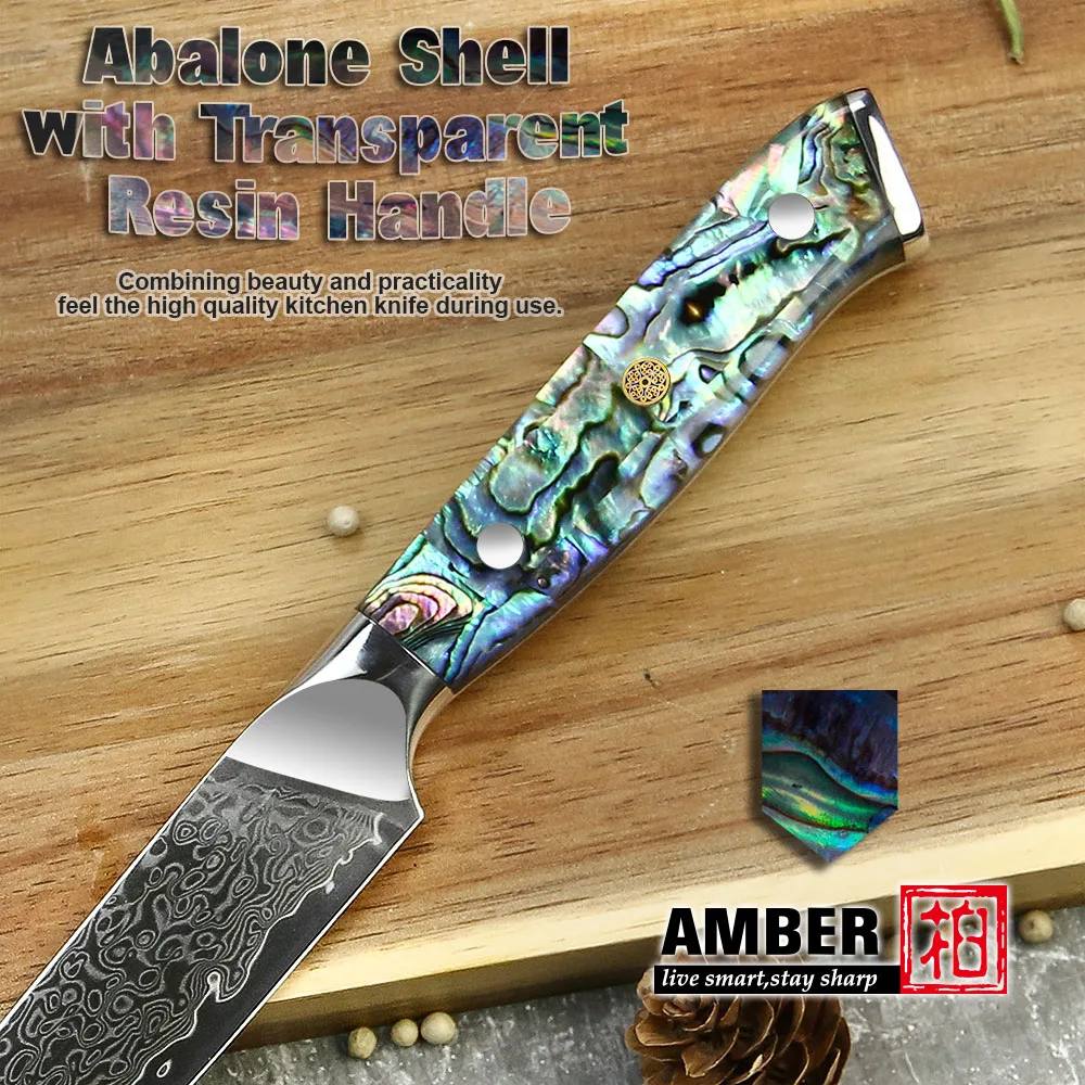 Wholesale 2021 new design 67 layers kitchen Damascus VG 10 Steel meat  cutting blade 5 inch steak knife set From m.