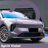 Spirito viola