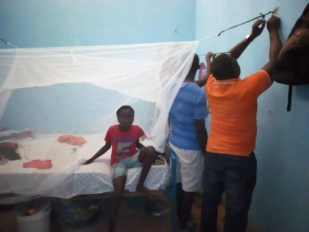 Pe Mosquito Net in Myanmar Hot Saleplastic Mosquito Net