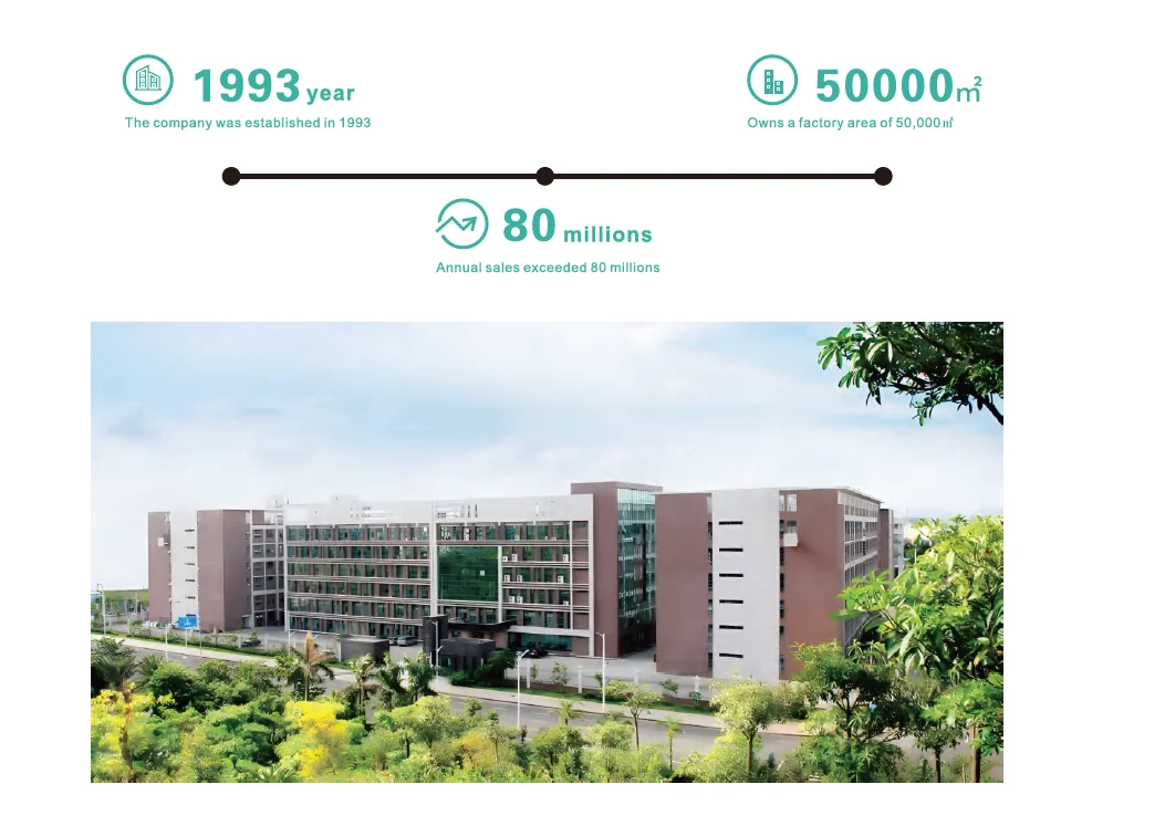 Company overview