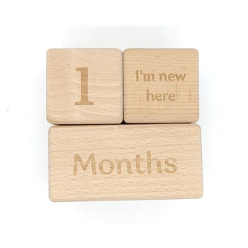 Factory Wholesale Baby Monthly Milestone Blocks for Boy or Girl Block Set for Baby Shower Pregnancy Countdown