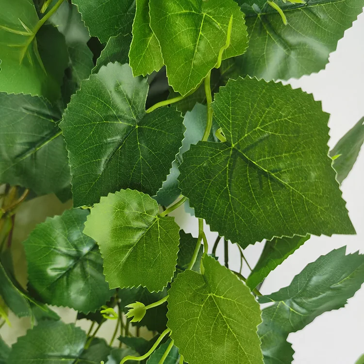 3.6Ft Green Fake Trauben bltter Vine Plastic Laub Knstliche Efeu Hngende  Pflanze Fr Innenwand Haus Raum dekoration| Alibaba.com