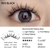 Iris noir