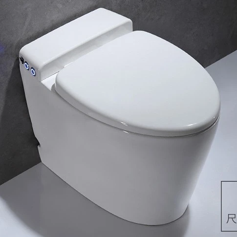 Låse Presenter Sympatisere Wholesale save water wc save space water closet back to wall tankless toilet  From m.alibaba.com