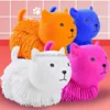 cat(random/mix color)23*13.3cm