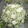 50cm verde 1