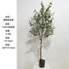 150cm olive tree (detachable version)