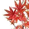 Rosso "Real Touch"