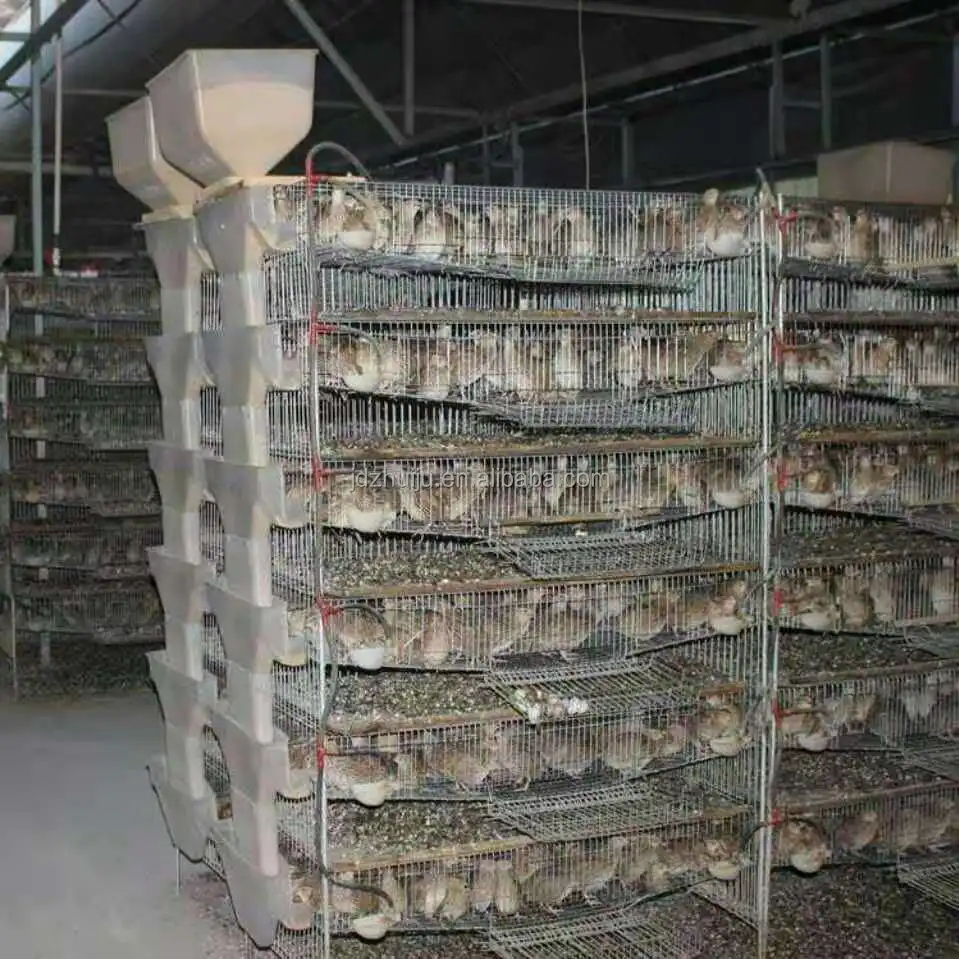 Durable Wire Mesh Quail Cage/poultry Battery Cage System Hjqc400a