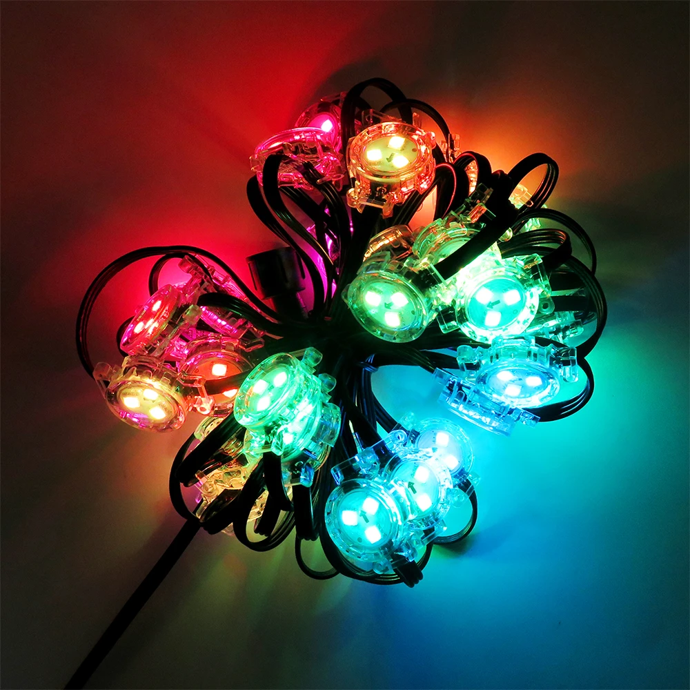 ETOP 30mm Diameter  LED Pixel Point Light Custom RGBW with DC12V IP65 for Outdoor Landscape Use Permanent Source House