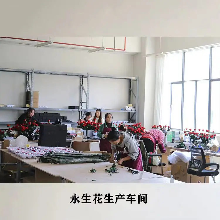 Yunnan Angel Flowers Co., Ltd. 2