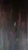 B8