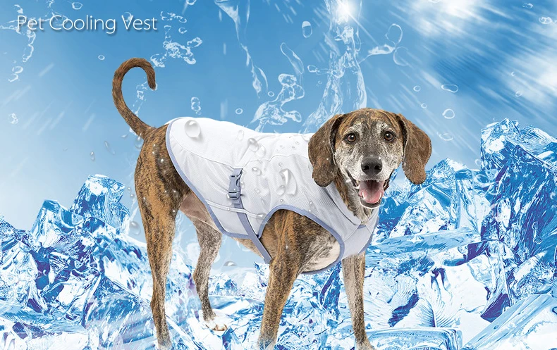 3 Dog Cooling Vest.jpg