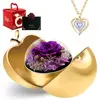 Morado