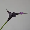 สีดำ