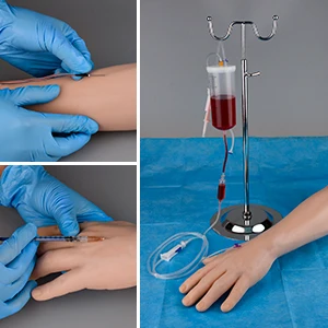 Medical Science Arm Injection Model Practice Kit for Training Model Venipuncture Training Kit Injection Training Model