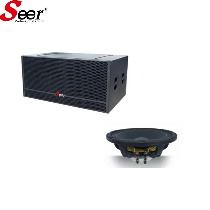 Dual 12 Inch Sound Stage Professional Speaker System Active Line Array ...