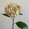 Rosa Verde