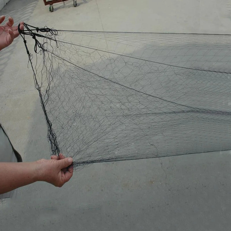 Bird Net Length Thailand Bird Net: Anti Bird Nets for Pigeon Catching, Nylon Mist ...