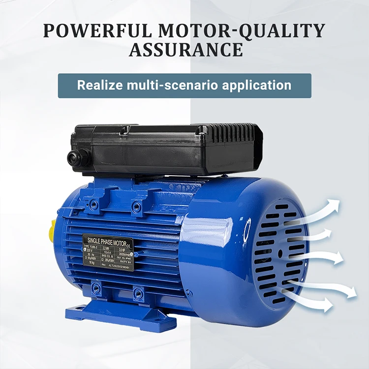 JULANTE YL90L-2 220V Single Phase Asynchronous Induction Capacitor Electric Motor for Vacuum