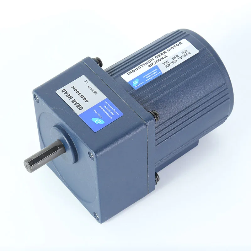 Single Phase DZ 140W 100 MM AC Gear Motor With Speed Controller
