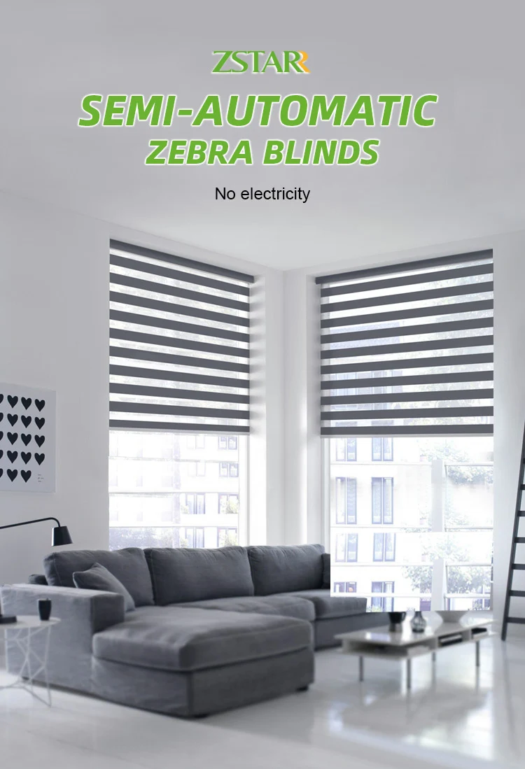 Electric Window smart Shades voice app remote control automatic roller blind motorized shutter blackout  zebra blinds
