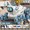 Blue Mechanical Cat [Dual Control Model]