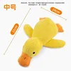 Canard - Moyen
