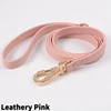 Leathery Pink Leash