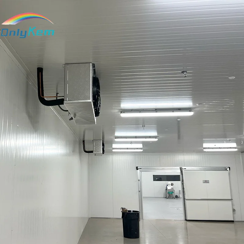 Walk in Cold Room Industrial Refrigerator Room 20x15x10ft Cold Chamber Freezer Sliding Door