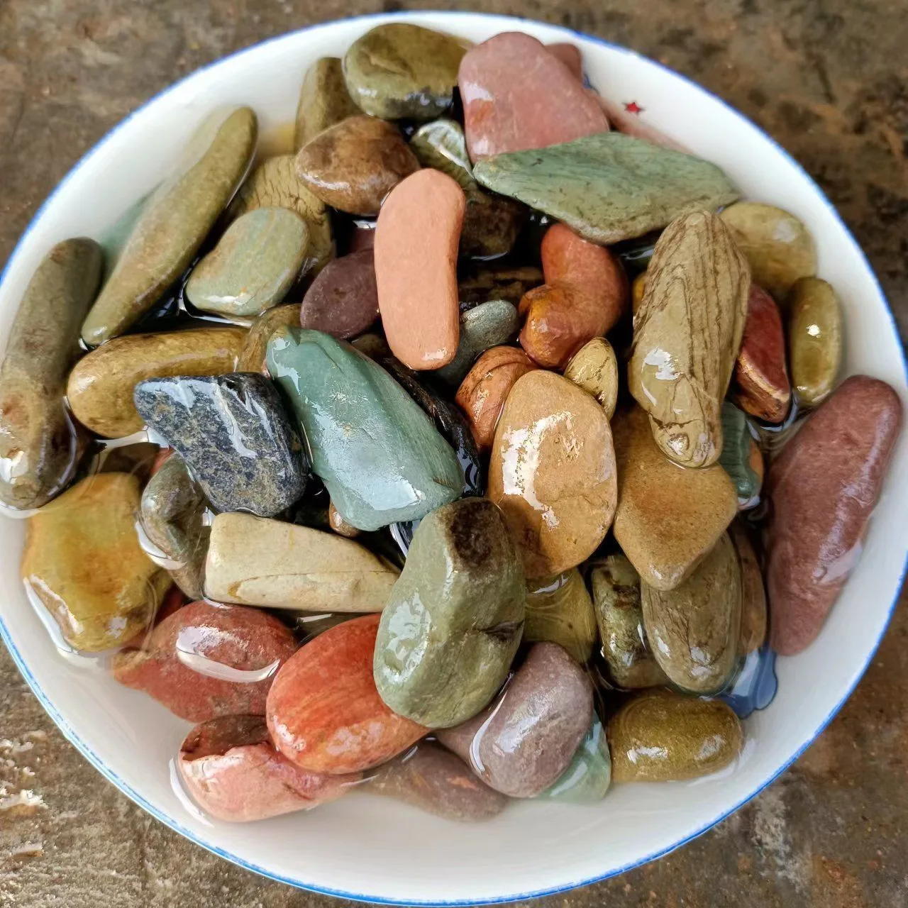 Shop High-Quality Pebble Stones for Aquascaping Projects