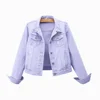 Lavanda