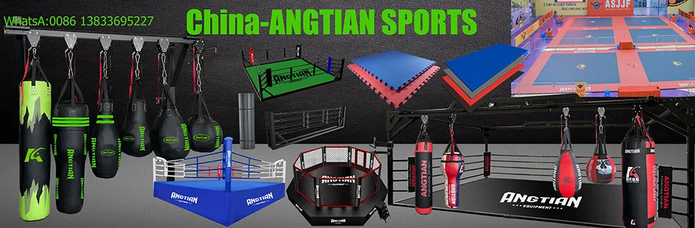 Langfang AngTian Sports Goods Co., Ltd. 2