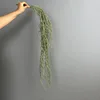 Barba da vecchio da appendere al muro - rattan grigio bianco