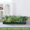 Cara sonriente, adecuada para jardineras de 100 cm.