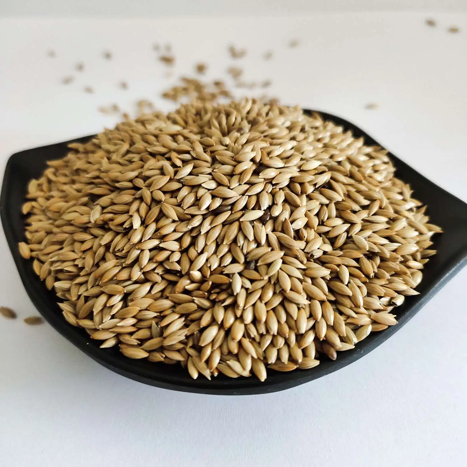 Canary Seed Bulk Bird Feed Supply