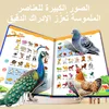 libro de audio bilingüe recargable