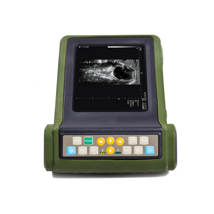 VU10 Small and Big Animal Equine Veterinary Scanner Vet Ultrasound Machine Portable