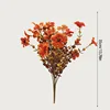 7 Eucalyptus brun fourchu Violet ~ Orange