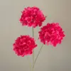 Rose Madder