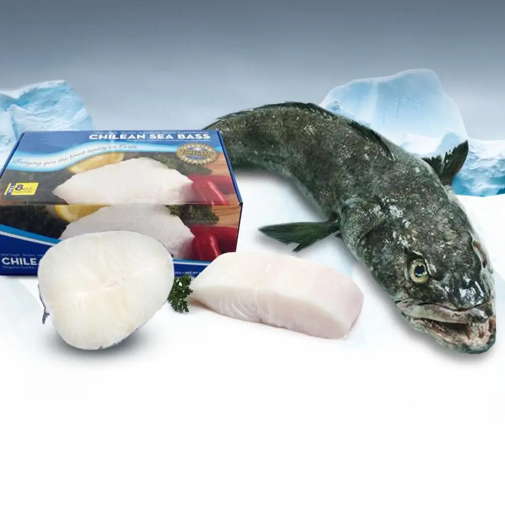 Patagonian Toothfish Chilean Sea Bass We Are Producers View Frozen Chilean Sea Bass Whole Hgt Hg Portions Steaks Dissostichus Eleginoides French Cod Silver Cod Seabass Sea Bass Blue Ocean Chile