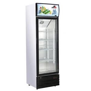 Hot Selling Commercial Beverage Cooler Electric Display Freezer Single Door Compressor US