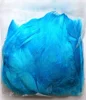 Azul 50 unidades/bolsa de plástico