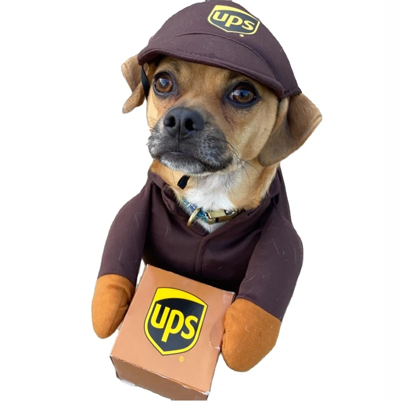 Halloween Dog Clothes 2022 2022 Newly Funny Dog Mail Carrirer Costume Dog Halloween Postman Cosplay Clothes Buy Dog Cosplay Clothes Dog Christmas Party Apparel Clothes Pet Kitten Halloween Acting Props Clothes Product On Alibaba Com